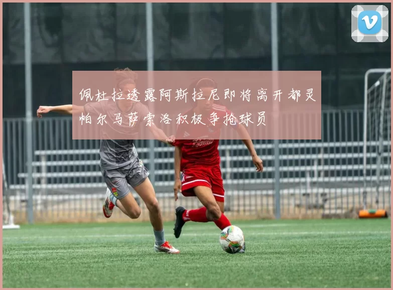 佩杜拉透露阿斯拉尼即将离开都灵帕尔马萨索洛积极争抢球员