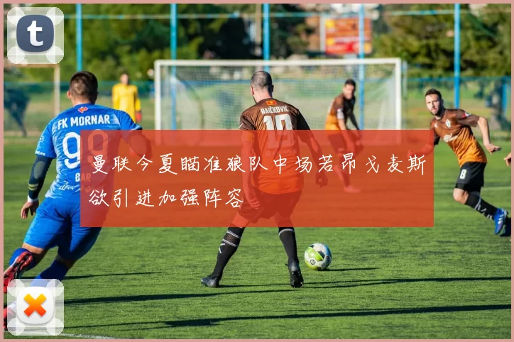 曼联今夏瞄准狼队中场若昂戈麦斯欲引进加强阵容